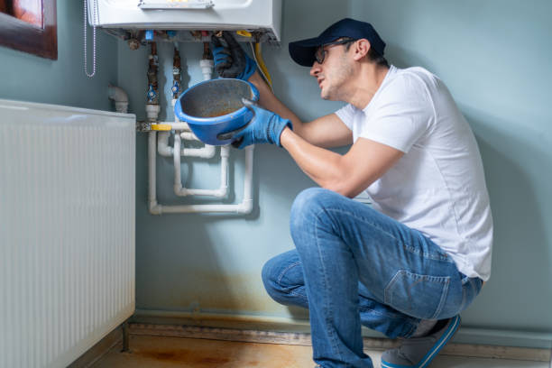 Best Plumbing System Maintenance  in Despard, WV